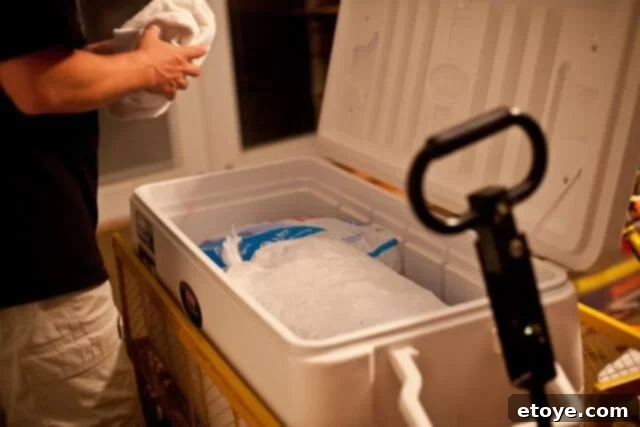 La Caja China Hog Heaven 17 Pig stored in a large cooler with ice bags