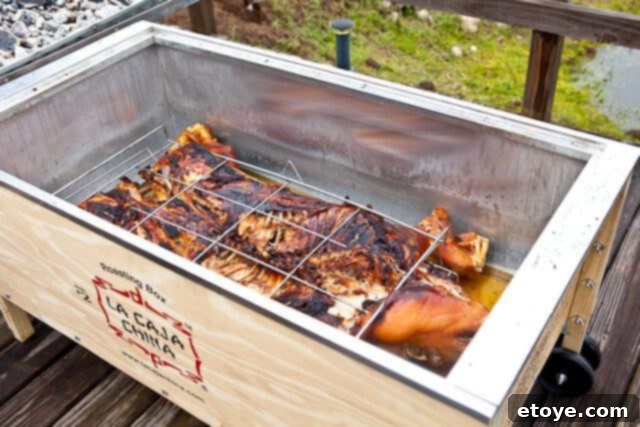 La Caja China Hog Heaven 27 Peeking inside La Caja China at the roasted pig