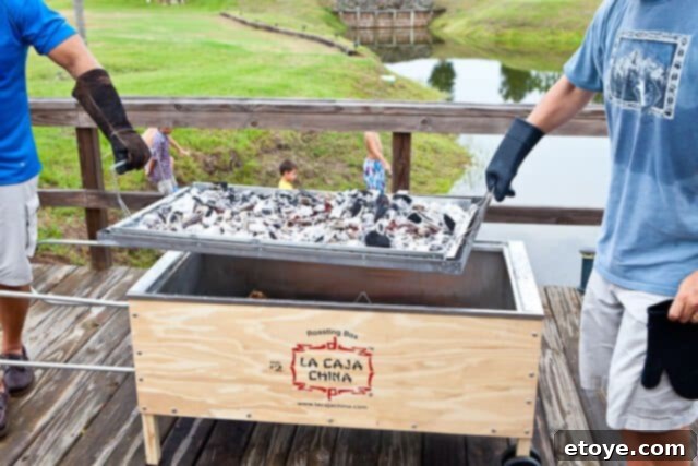 La Caja China Hog Heaven 30 Charcoal tray back on La Caja China for skin crisping