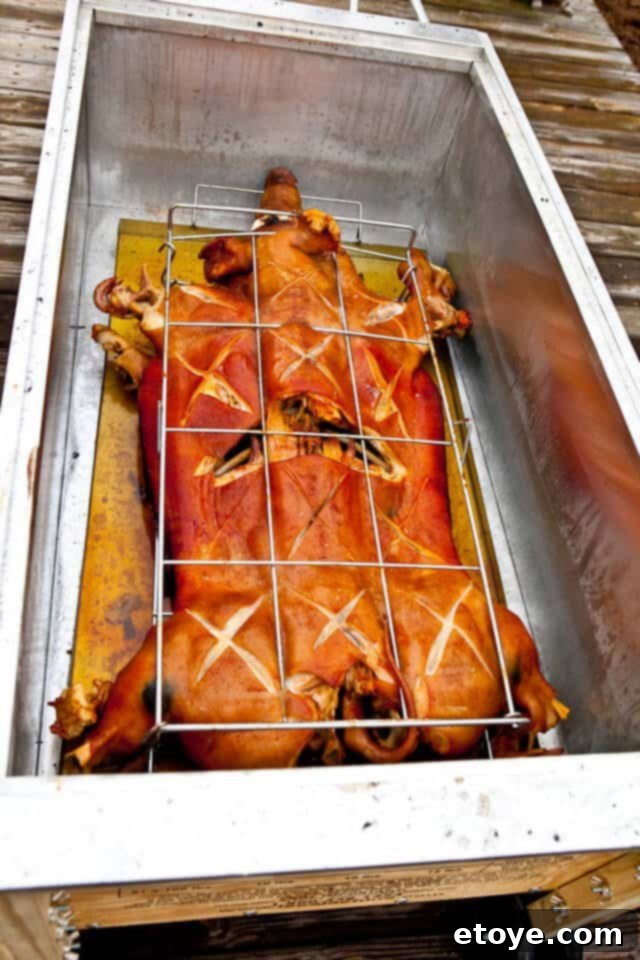 La Caja China Hog Heaven 31 Crispy pig skin after roasting in La Caja China