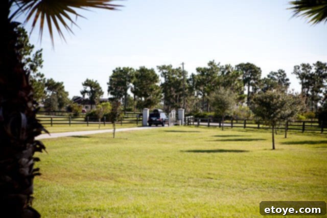 Another view of the car leaving, emphasizing the finality of the goodbye.