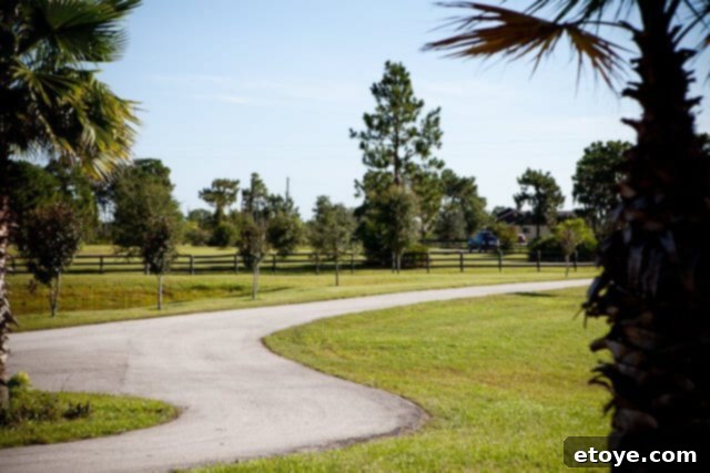 A hopeful image looking forward to future visits and more magical moments.