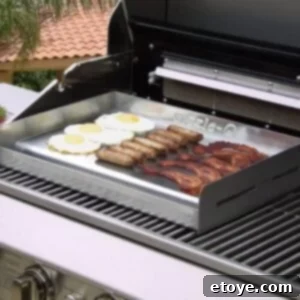 Sizzle-Q Griddle Detail Features Detailed view of the Little Griddle Sizzle-Q showing stainless steel construction and features