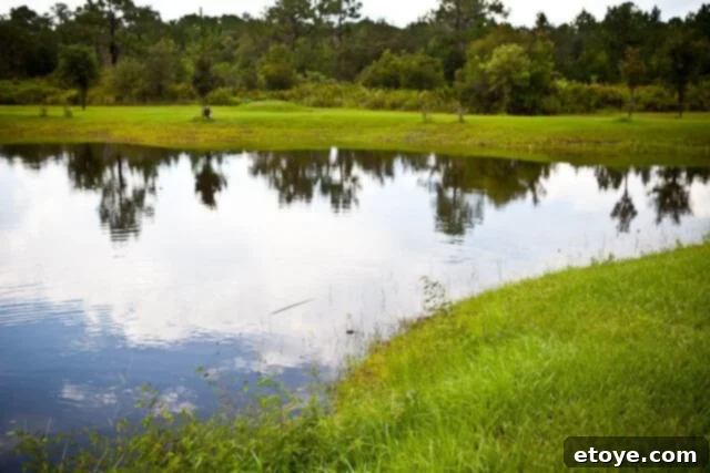 Gifts from the Storm 2 A high-fashion handbag crafted from luxurious exotic leather