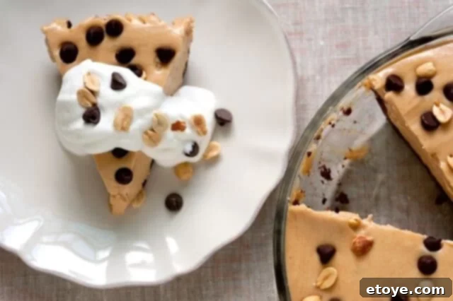 Peanut Butter Pie Slice with Cream A slice of creamy Peanut Butter Pie, adorned with a dollop of whipped cream, on a plate.