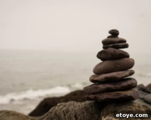 Mindful Meals 3 Mindful Eating for Health: Cultivating Patience and Self-Care for Emotional Wellness