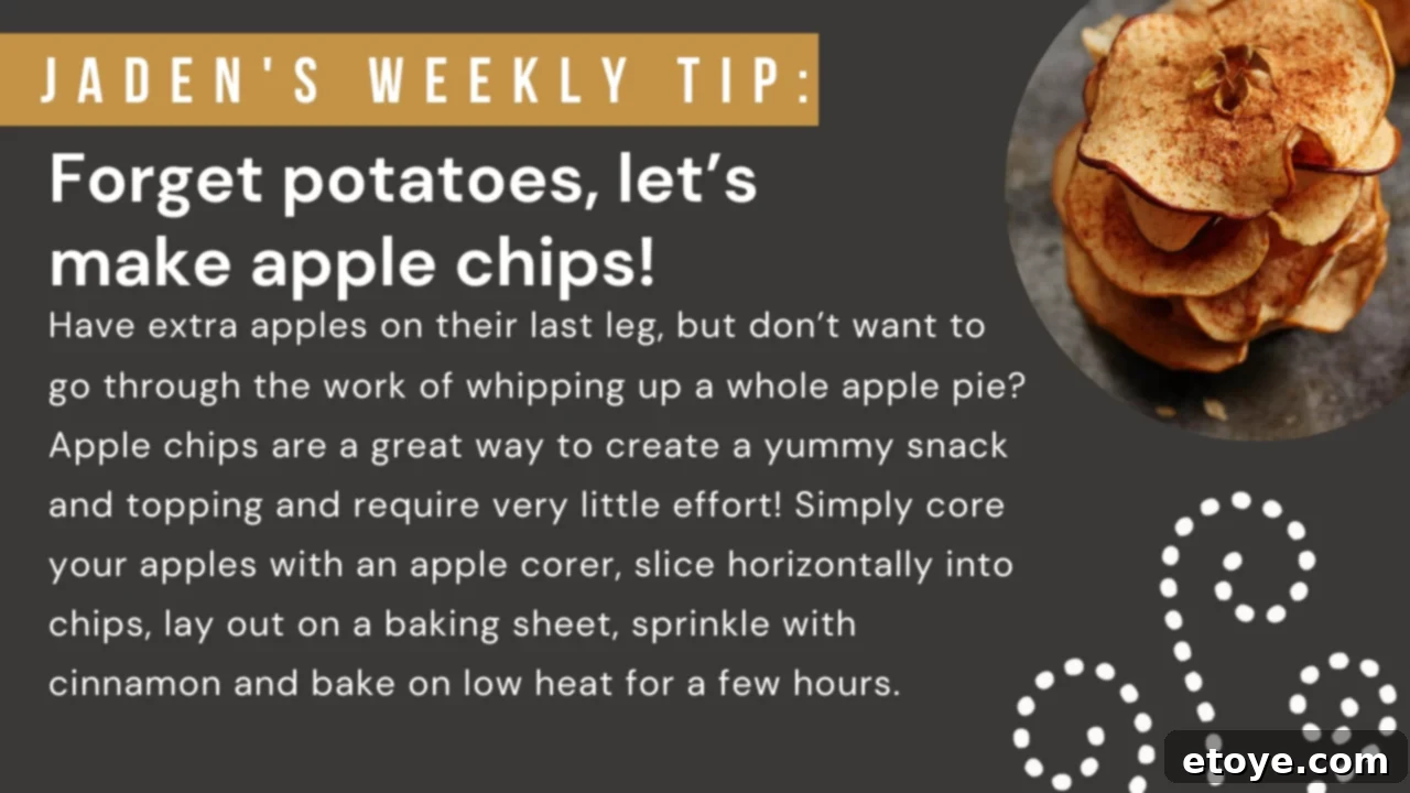 Jaden's October Obsessions 3 Crispy Homemade Apple Chips with Cinnamon