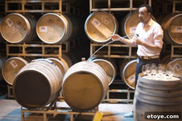 Winemaker Juan Munoz Oca at Columbia Crest Winery, explaining wine making process