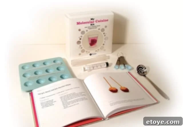Elevate Your Home Cooking with Molecular Gastronomy Molecular Cuisine Kit and Book for Home Chefs