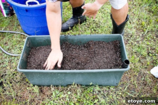 Smart Gardening with Earthboxes 12 Compacting the potting mix inside the EarthBox for optimal density