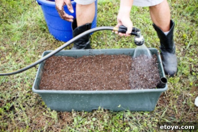 Smart Gardening with Earthboxes 17 Packing down the potting mix and watering the soil gently