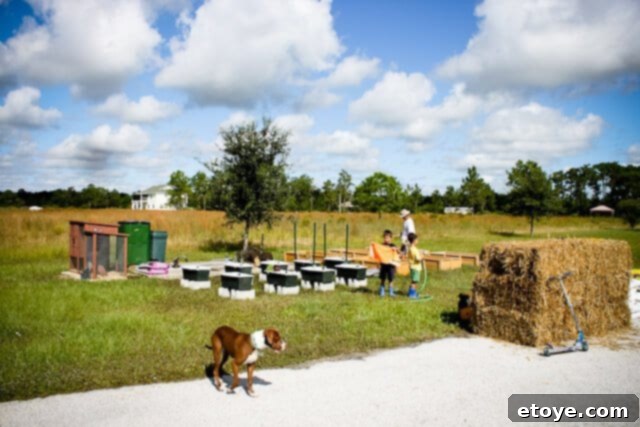 Smart Gardening with Earthboxes 3 Close-up of a new EarthBox system being set up for gardening
