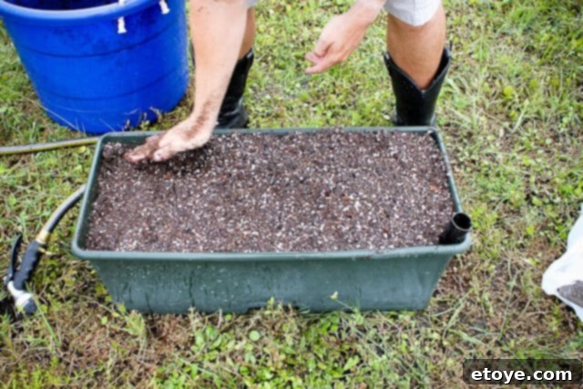 Smart Gardening with Earthboxes 21 Compacting the potting mix and watering until an inch from the top