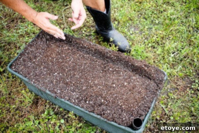 Smart Gardening with Earthboxes 24 Creating a ditch in the potting mix for fertilizer application