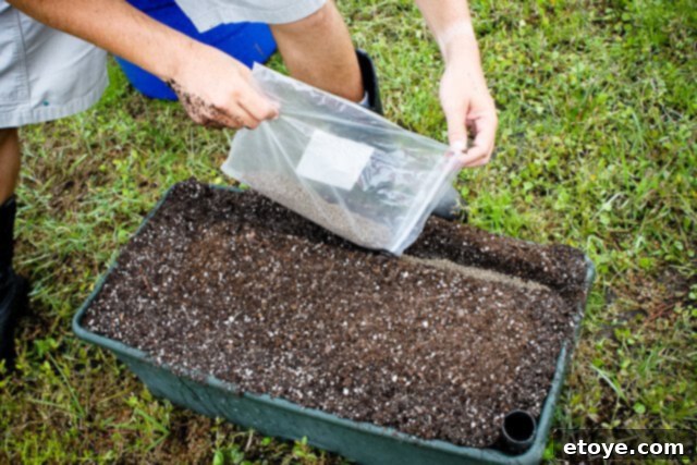 Smart Gardening with Earthboxes 25 Adding organic fertilizer into the prepared ditch in the EarthBox
