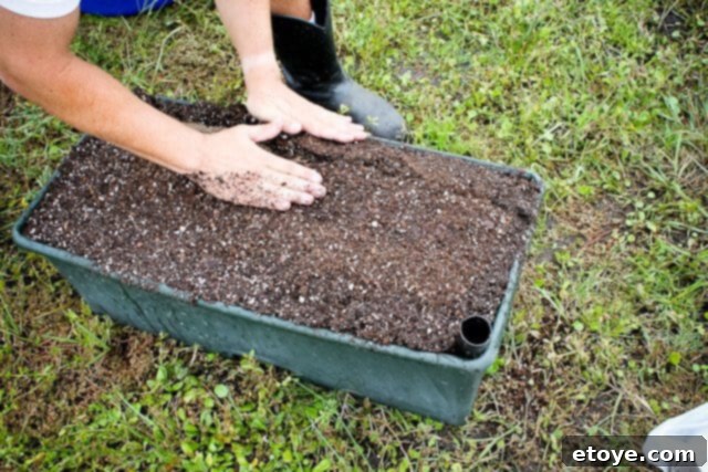 Smart Gardening with Earthboxes 26 Covering the organic fertilizer with potting mix to protect plant roots