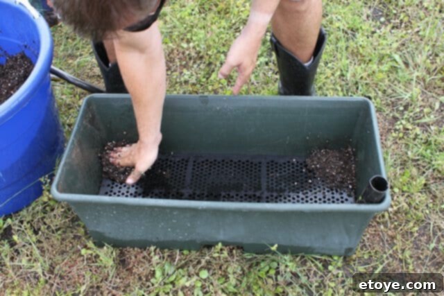 Smart Gardening with Earthboxes 9 Close-up of potting mix being firmly packed into the wick corners of the EarthBox