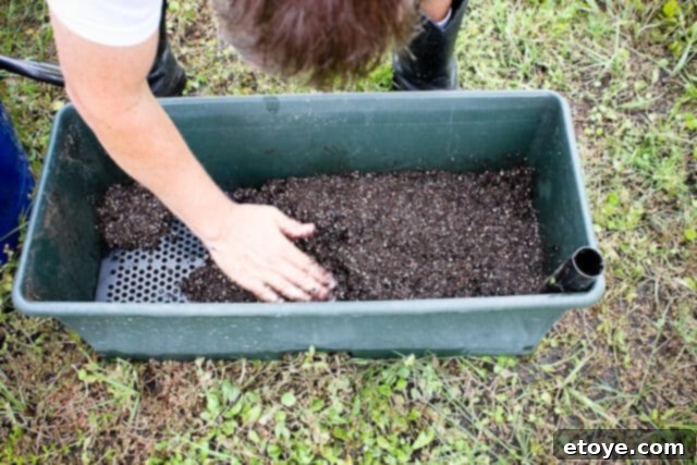 Smart Gardening with Earthboxes 10 Adding a two-inch layer of potting mix and pressing it down firmly