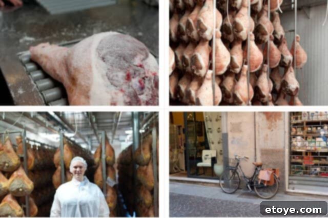 Stages of Prosciutto di Parma Curing Process