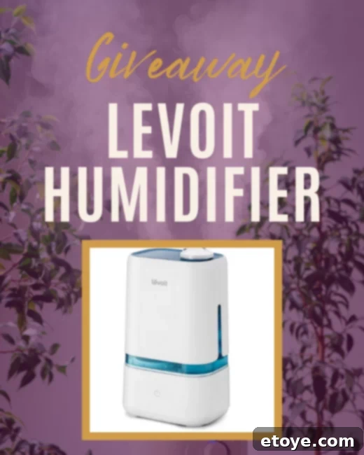 LEVOIT Humidifier in a modern bedroom setting, promoting healthy air