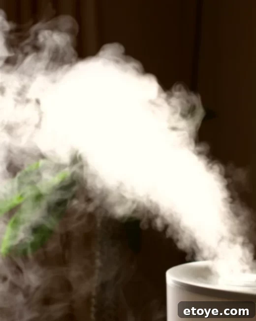 Giveaway banner for LEVOIT Humidifier