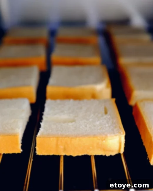 Win a Black and Decker Toaster Oven! 3 Black+Decker Toaster Oven Giveaway promotion image