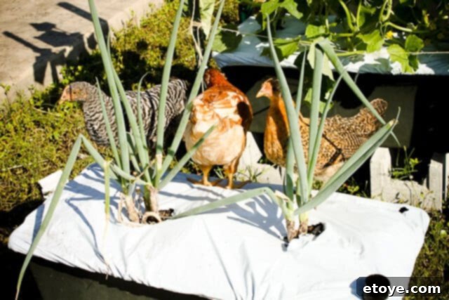 A small bird flying away from garden plants, having likely contributed to the damage