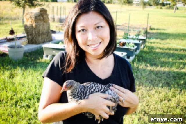 A large, fluffy black and white chicken, Oreo, standing regally