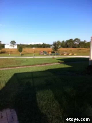 Closer view of the grassy path leading towards distant structures