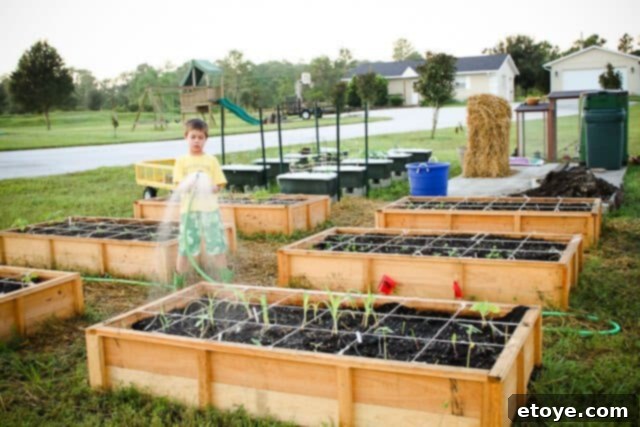 Six raised garden beds, neatly constructed and filled with layers of gardening materials