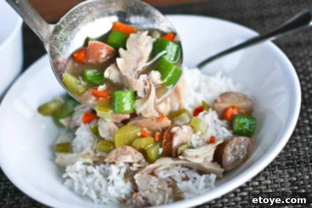 A close-up shot of the turkey gumbo in a bowl, showcasing its rich texture, tender turkey, and colorful vegetables, inviting diners to dig in.