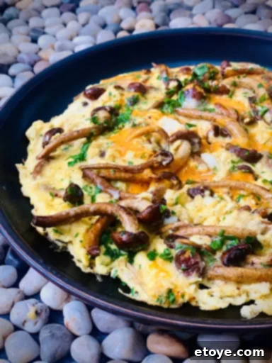 Savory Chestnut Mushroom Omelette 2 chestnut mushrooms, fresh produce, healthy eating, gourmet ingredients