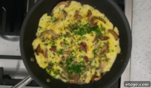 Savory Chestnut Mushroom Omelette 6 mushrooms, breakfast, eggs, gourmet omelette