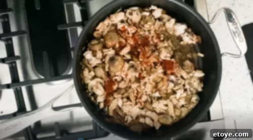 Creamy Healthy Turkey Stroganoff 4 Seasoning healthy turkey stroganoff in the pan.