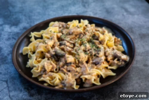 Creamy Healthy Turkey Stroganoff 6 Two plates of turkey stroganoff with noodles, ready to eat.