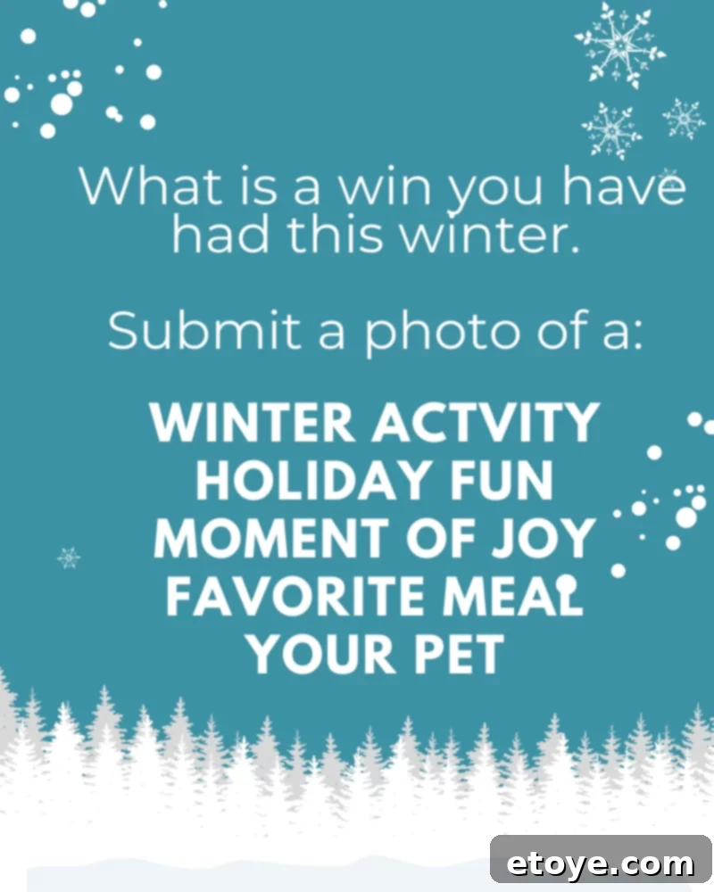 Cozy pet enjoying winter by a warm fireplace or window, perhaps a cat or dog