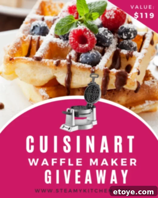 Cuisinart Double Belgian Waffle Maker showcasing its sleek design