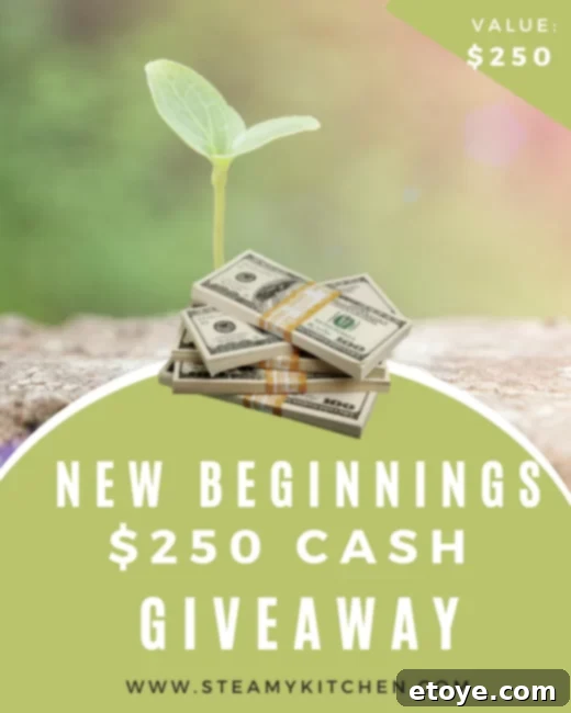 Embrace New Beginnings 250 Cash Prize 2 New Year New Beginnings $250 Cash Prize Giveaway