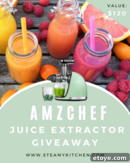 AMZCHEF Slow Masticating Cold Press Juicer Giveaway