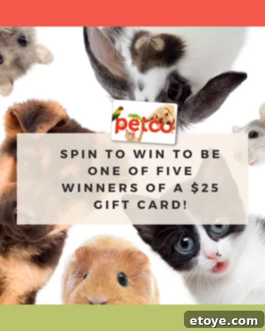 Petco Gift Card Giveaway - Play Furry Friends Memory Game for bonus entries