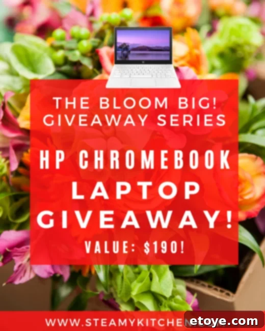 HP Chromebook 11-inch Laptop in a modern setting, ideal for students and professionals.