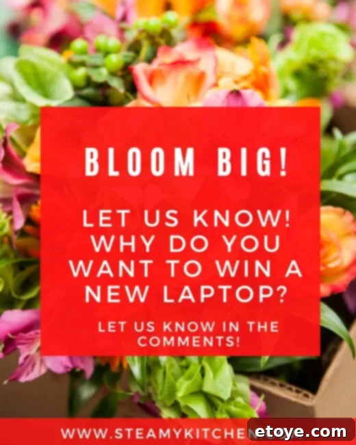 HP Chromebook 11-inch laptop screen showcasing a vibrant spring theme, ready for a new user.