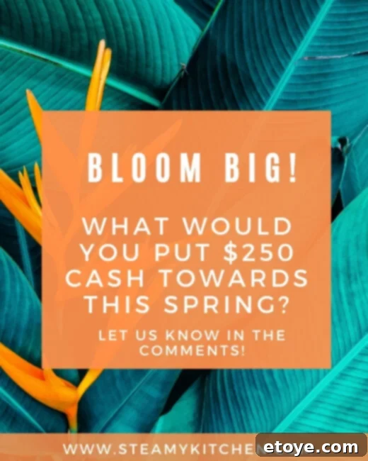 Bloom Big: Spring 250 Cash Prize Giveaway 3 Bloom Big Spring Cash Giveaway - Enter now for your chance to win $250!