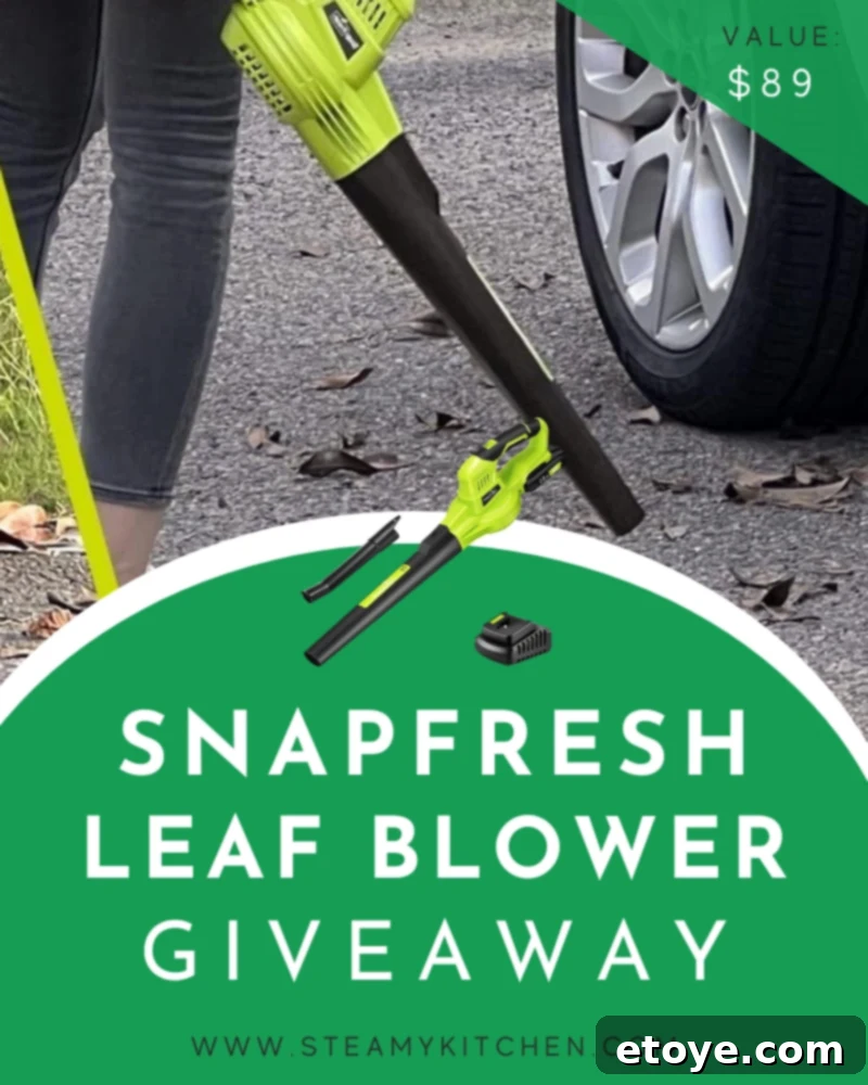 SnapFresh Leaf Blower Giveaway 2 SnapFresh Leaf Blower Giveaway