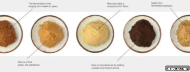 Miso paste close-up A close-up of a tub of rich, brown miso paste, showcasing its thick, paste-like texture, ready to be used in various culinary applications.