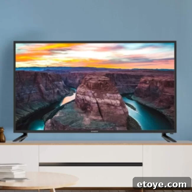 Elevate Your Entertainment: Skyworth 42-Inch Premium Smart TV Giveaway 4 Skyworth 42 Inch Smart TV back view and ports