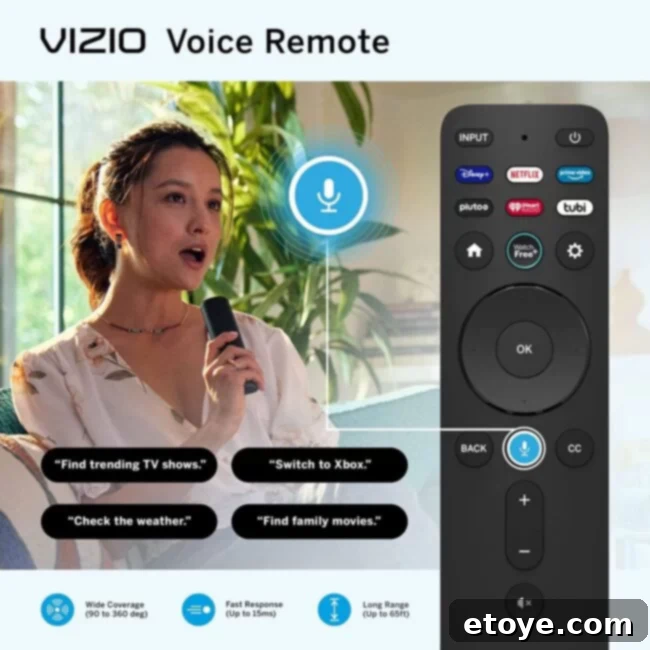 VIZIO SmartCast TV interface