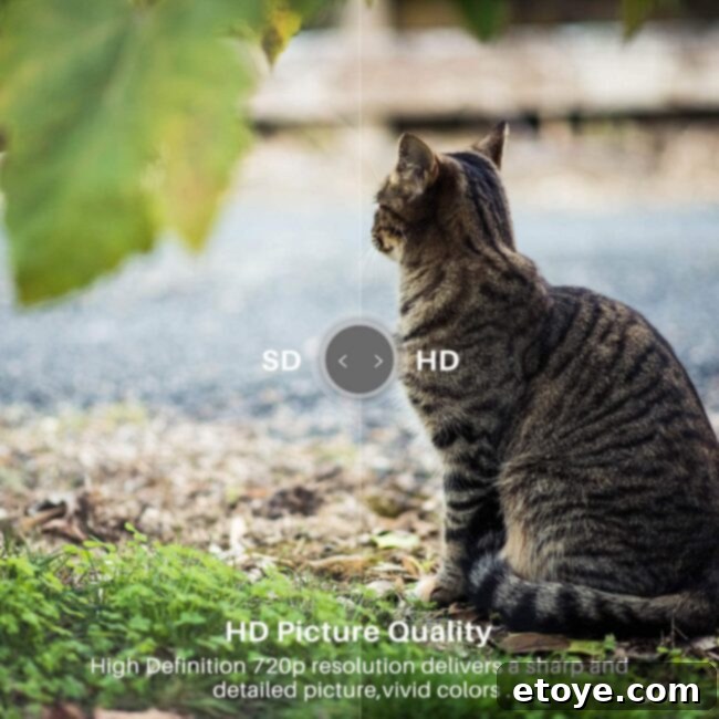 Win a Sansui 32 Inch Smart LED TV 5 Sansui 32 Inch Smart TV remote control and connections