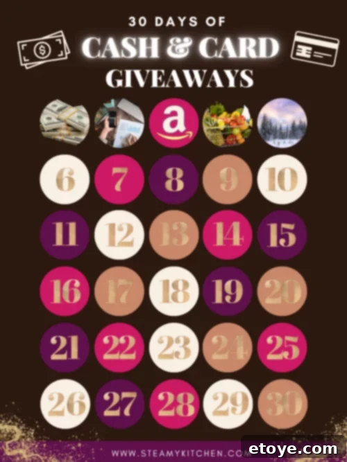 Day 5 Winter Wonderland Instant Cash Prize 3 Steamy Kitchen's 30 Days of Giveaways: Day Five Prize