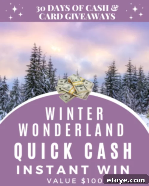 Day 5 Winter Wonderland Instant Cash Prize 4 More great giveaways from Steamy Kitchen